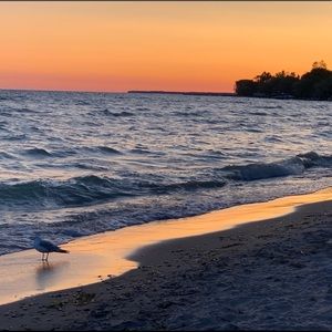 Meet your Posher, Sana